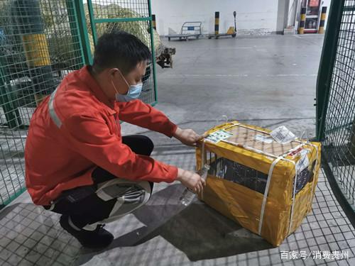 宠物乘机也能“用餐”了！南航物流拓展在黔多项服务装卸服务